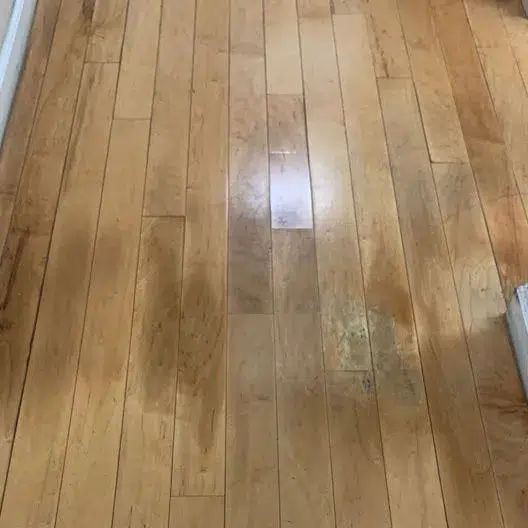 Water-Damaged-Floor-Repair Protect Hardwood Floor